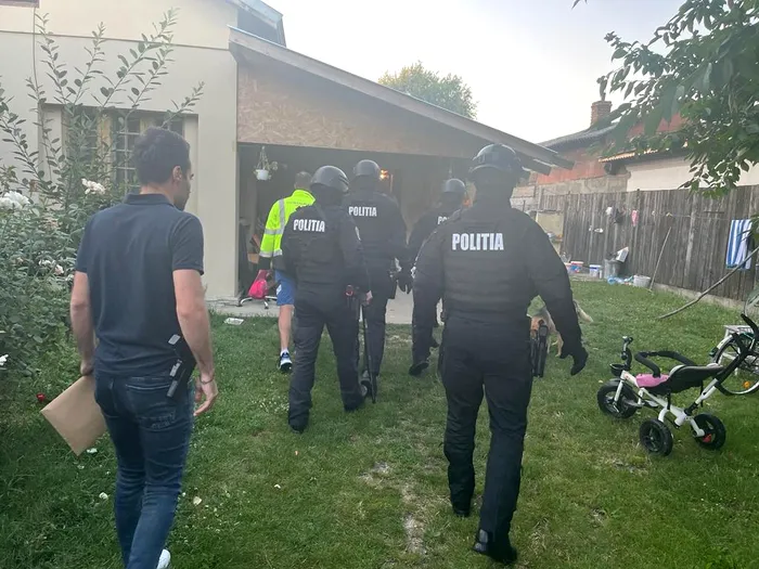 Câini de luptă maltratați de un bărbat din Giurgiu. Le tăia urechile și le făcea diverse intervenții chirurgicale