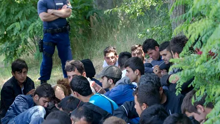 Germania, Austria, Franța, Suedia și Cehia ar putea trimite 19.000 de imigranți înapoi în Ungaria