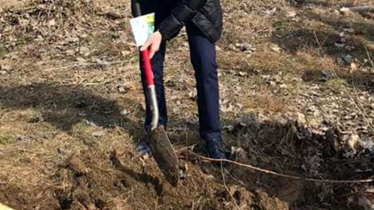 Campanie de plantare a pomilor, „contramăsură