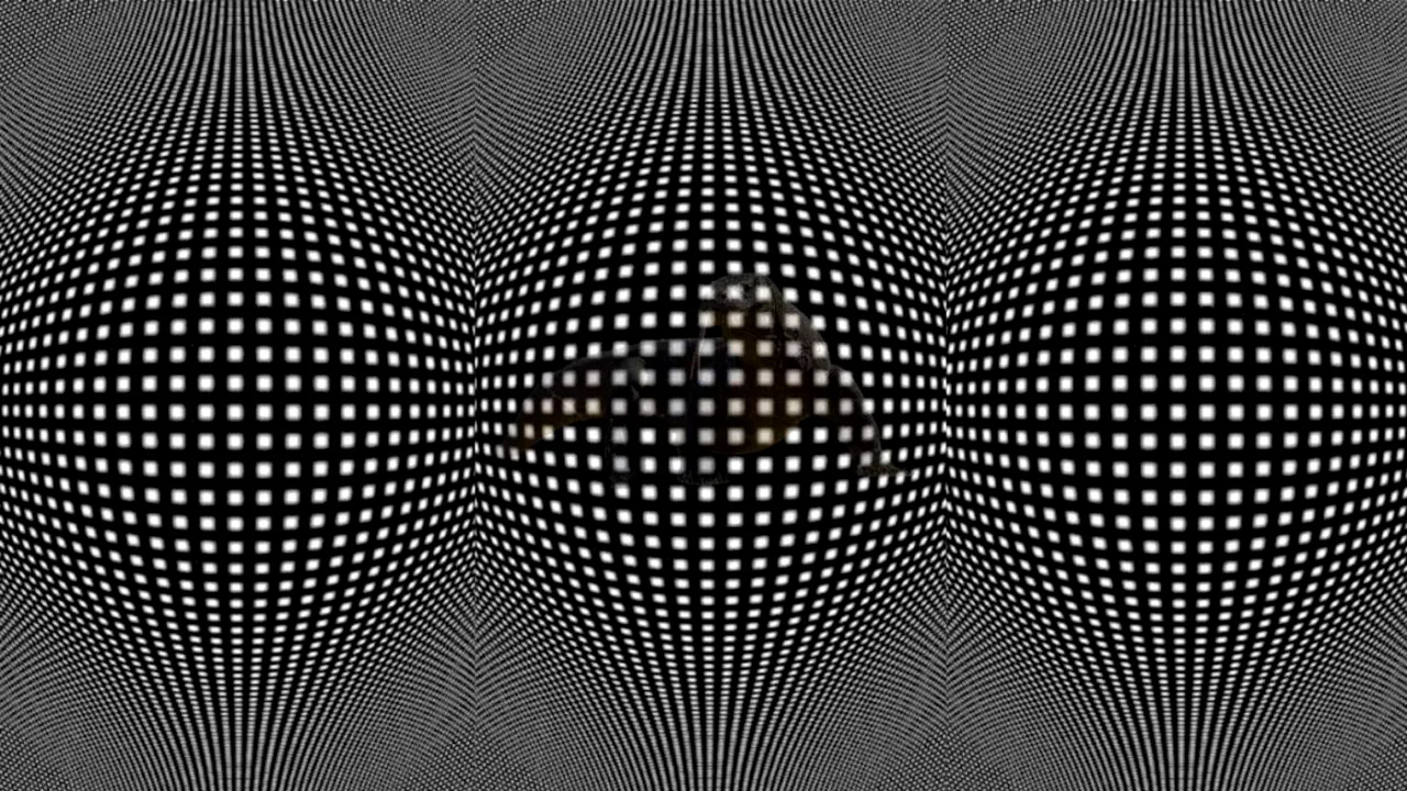 Test de inteligență | Ești un geniu dacă poți identifica animalul ascuns în această iluzie optică virală. 99% se lasă bătuți