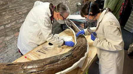 Cinci mamuți care au trăit acum 220.000 de ani, „excepțional” de bine conservați, descoperiți într-o regiune din Anglia