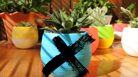 Adio, ghivece din plastic cu plante. Vor fi interzise și în România, conform legislației UE