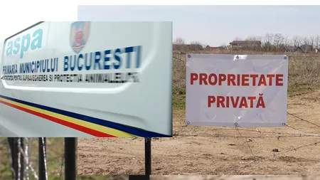EXCLUSIV VIDEO | Câinii din zona Lacul Morii, o problemă nerezolvată și după două luni de la moartea Anei Oros. 