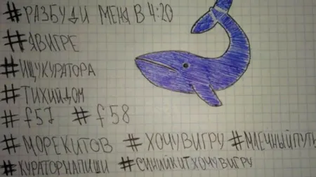 Balena Albastră a intrat în România pe la Sibiu. Cum a ajuns un accident tragic să fie primul caz de sinucidere din jocul început în Rusia