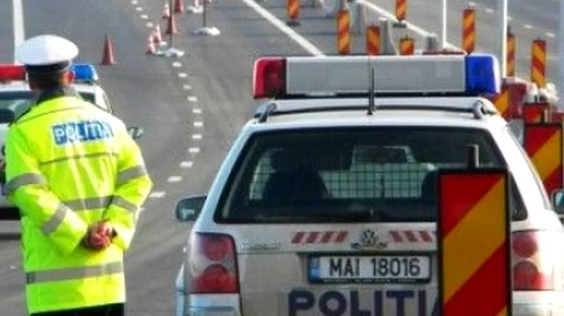 Despăgubiri record pentru un român care și-a stricat mașina după ce a omorât un câine pe autostradă