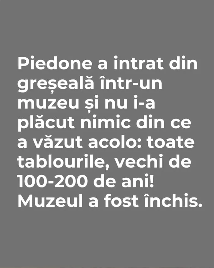 BANCUL ZILEI | Piedone a intrat din greșeală într-un muzeu
