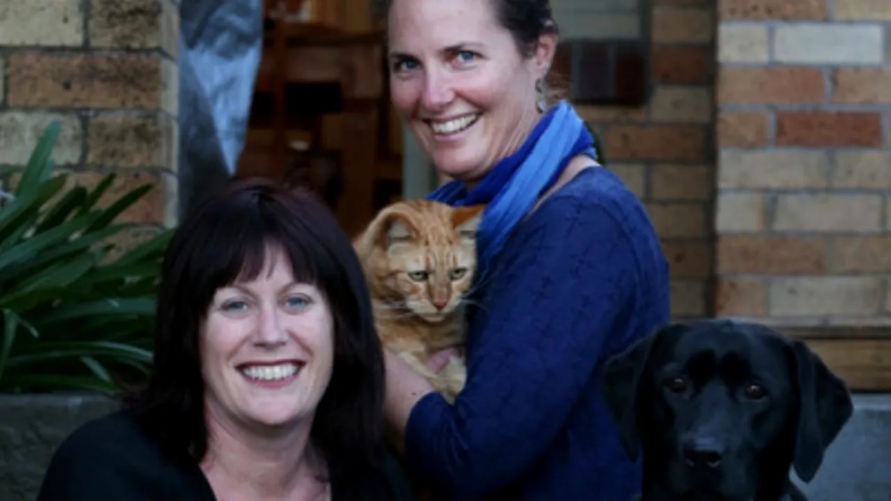 Emoționant. Un câine a donat sânge pentru a salva viața unei pisici