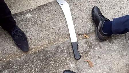 Cine este adolescentul care a vrut să omoare un evreu în Franța