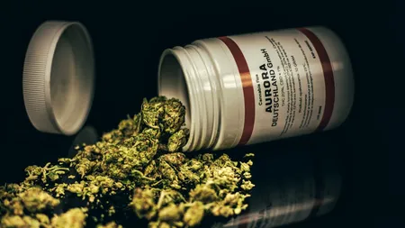 Consumul recreațional de canabis a scăpat de sub control în GERMANIA /Cum vrea Guvernul să stopeze fenomenul