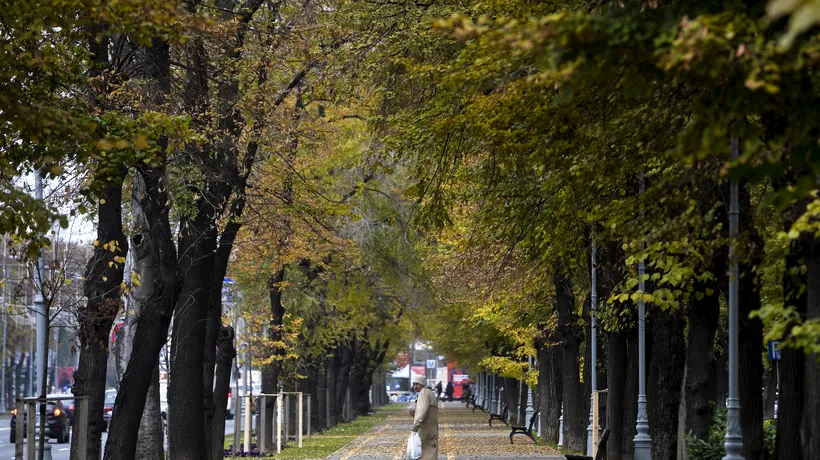 Un parc din Arad va fi denumit Zsolt Török, în memoria alpinistului care a murit în Munții Făgăraș