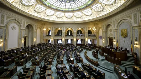 DNA cere aviz pentru reținerea și arestarea unei senatoare