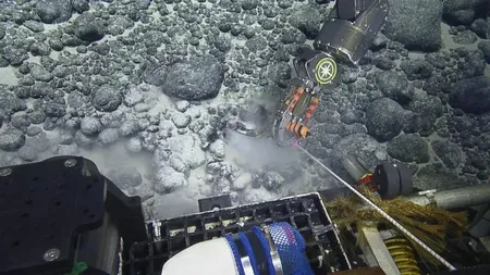 Descoperire extraordinară făcută de un ROVER care explora, la 3.000 de metri adâncime, un munte subacvatic