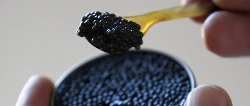 A fost doborât recordul mondial pentru cea mai mare conservă de caviar. Delicatesa, servită de Revelion, într-unul dintre cele mai exclusiviste locuri din lume