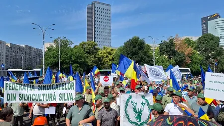 Reorganizarea ROMSILVA reaprinde conflictul dintre sindicate și Ministerul Mediului / Ministerul Justiției solicită refacerea proiectului de HG