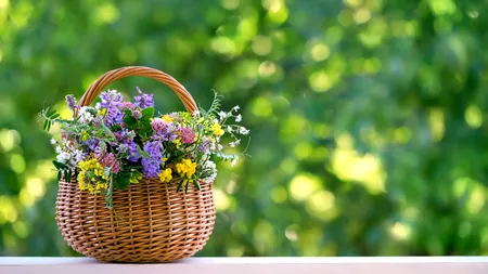 Cum va fi vremea până la jumătatea lunii SEPTEMBRIE. Prognoza meteo pentru următoarele patru săptămâni