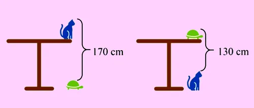 Test IQ exclusiv pentru genii | Ce înălțime are masa din imagine?