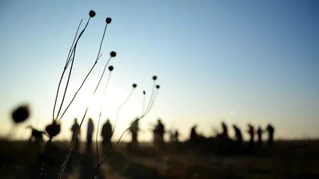 Lecția pe care a învățat-o primarul din Jegălia când la el au venit 