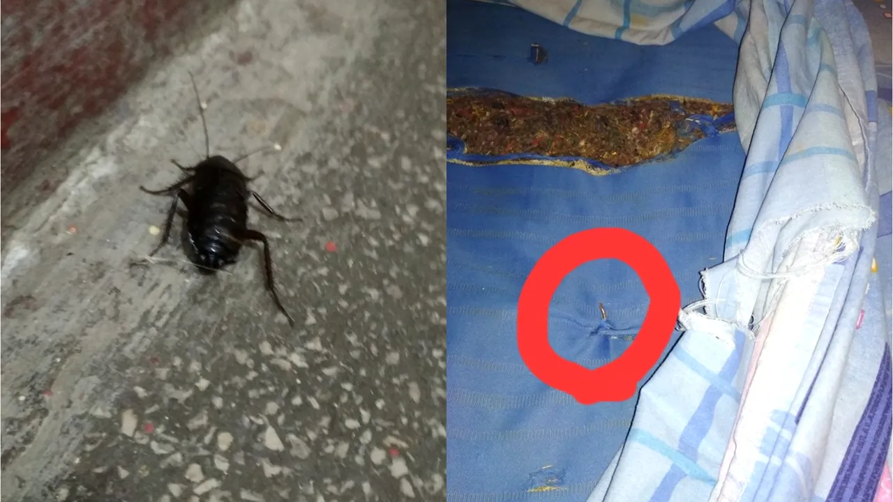 Condiții mizere de cazare pentru elevii care au participat la un concurs național.
„Țara asta nu dă niciun ban pe munca noastră! Pușcăriașii au condiții mai bune decât premianții