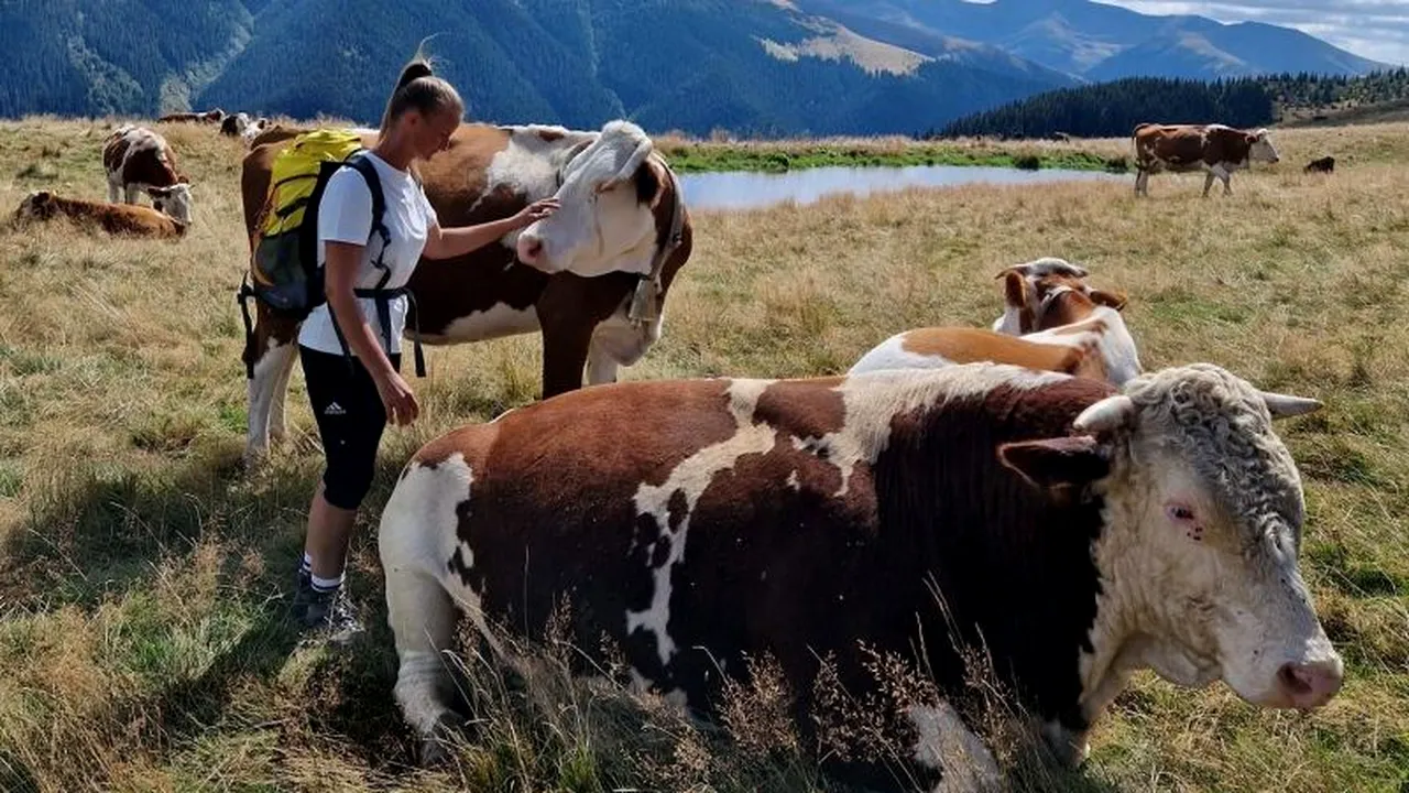 AFACEREA cu care a dat lovitura o româncă, după 7 ani de muncă în Germania: „E foarte greu, dar nu mă văd făcând altceva”
