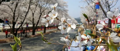 PROGNOZA METEO, 24 aprilie 2020. Vremea continuă să se încălzească