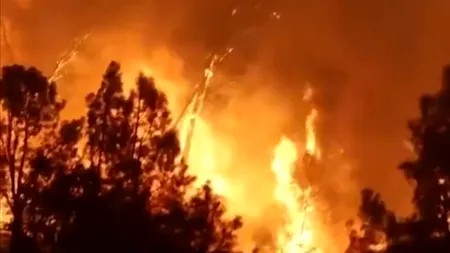 California, devastată de un „MEGAINCENDIU” care a pârjolit deja peste 500 de km² de teren. Un bărbat, suspectat că ar fi provocat incendiul, arestat