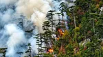 Incendiu uriaș în Parcul Național Domogled. Aproape 400 de hectare sunt afectate. 100 de oameni luptă cu flăcările