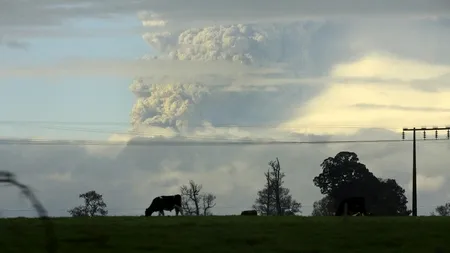 Cauza care a dus la dispariția unei părți semnificative din speciile vii de acum 200 milioane de ani