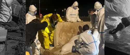 Beluga blocată în Sena a fost eutanasiată. Animalul era mult prea slăbit pentru a mai putea fi salvat