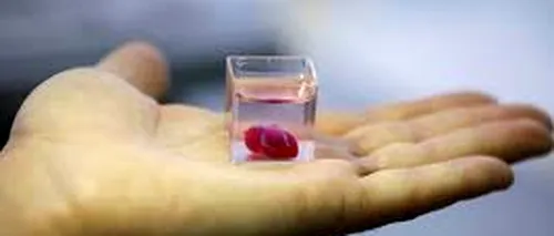 Prima mini-inimă umană, cultivată într-un laborator, îi va ajuta pe oamenii de știință să găsească modalități de a trata afecțiunile cardiace