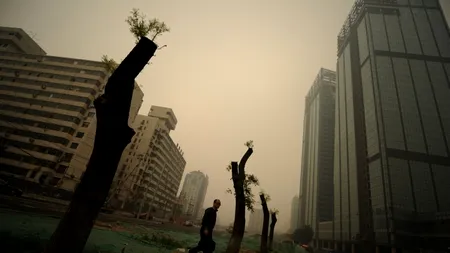 Avertismentul meteorologilor: ce se va întâmpla cu Pământul dacă încălzirea globală va continua