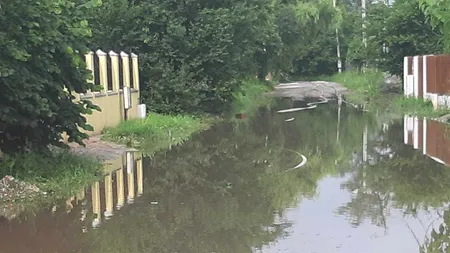 Efectele codului portocaliu: ISU a scos apa din peste 100 de curți, case și străzi din Ilfov