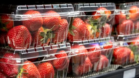 Cât costă un kilogram din primele CĂPȘUNI româneşti, apărute deja în pieţe. Nu sunt chiar pentru orice buzunar