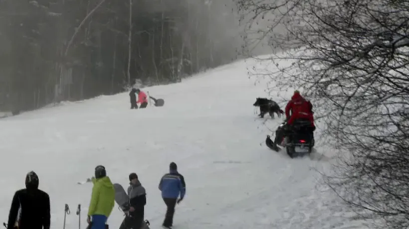 Schior fugărit de urs în Predeal, pe Clăbucet! (VIDEO)