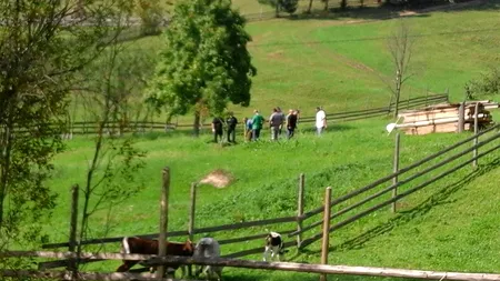 Tragedie la Suceava. Anchetatorii au ridicat noi probe din curtea femeii acuzate că și-a asfixiat copilul