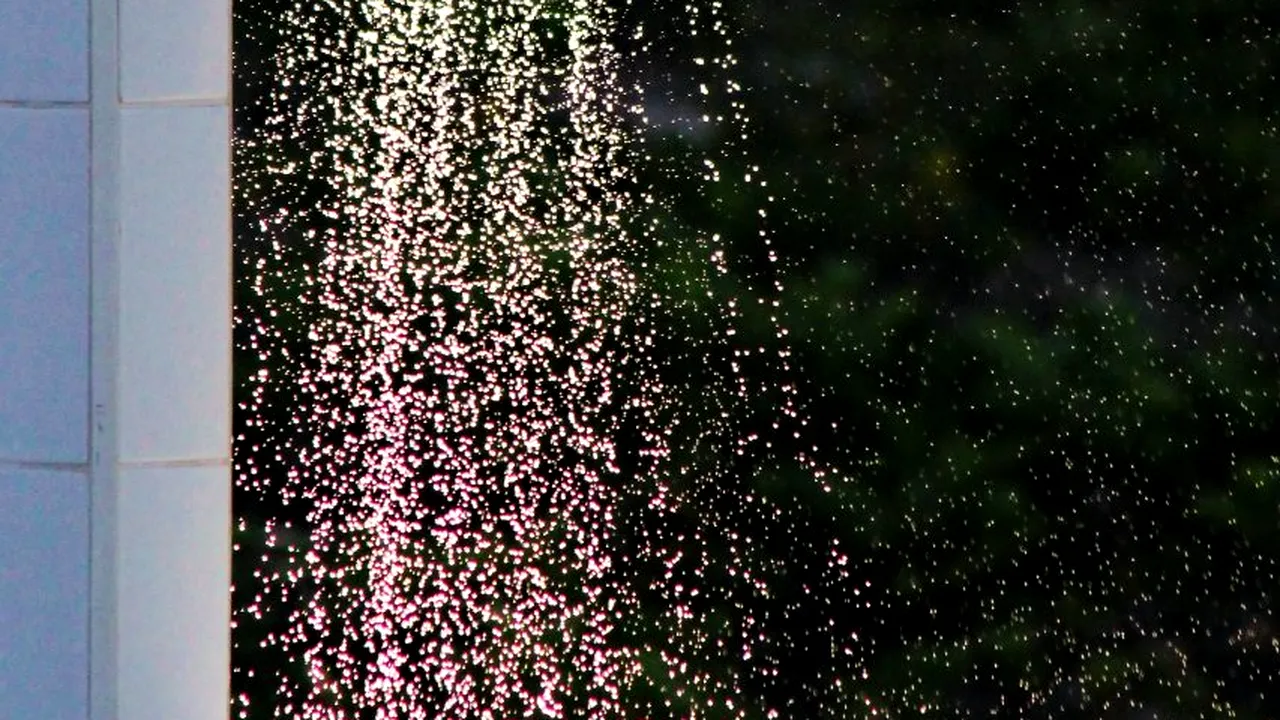 Zeci de copii au văzut un microduș pentru prima dată. “Nu au apă, nu au curent, încă se spală la lighean”