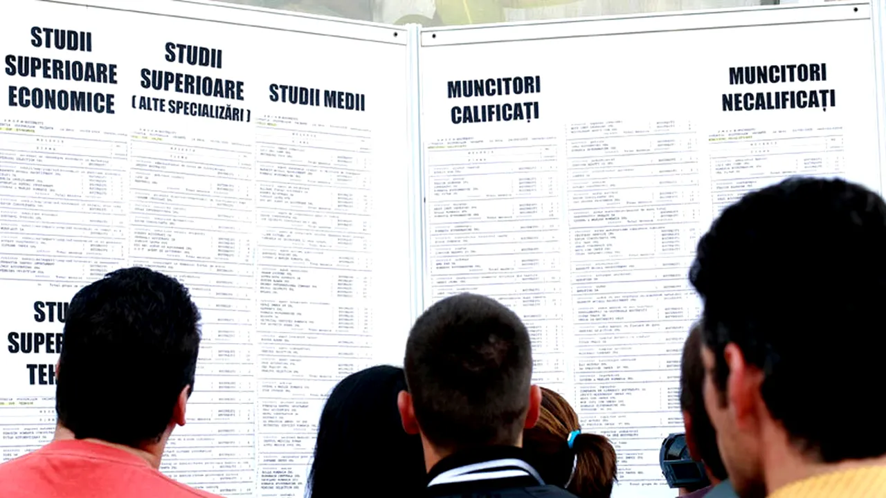 Ce au căutat anul acesta companiile care au făcut angajări. IT-știi, vedetele pieței muncii