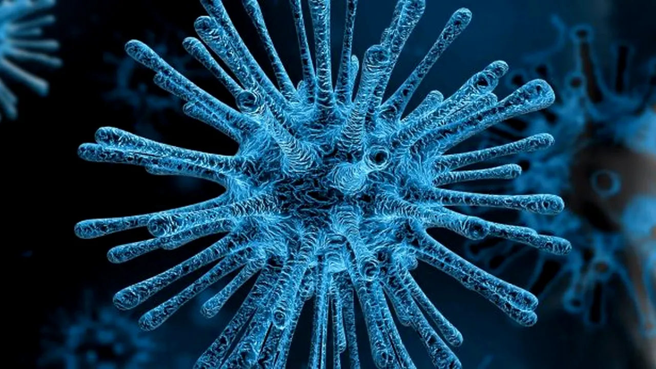 Microbiologi AVERTIZEAZĂ: Testele rapide pentru coronavirus făcute de compania chineză Bioeasy nu sunt sigure!