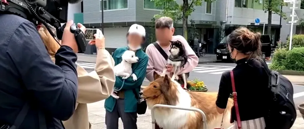Japonezul care a cheltuit 12.500 de lire sterline pentru a deveni „CÂINE” se plânge că este respins de... câini