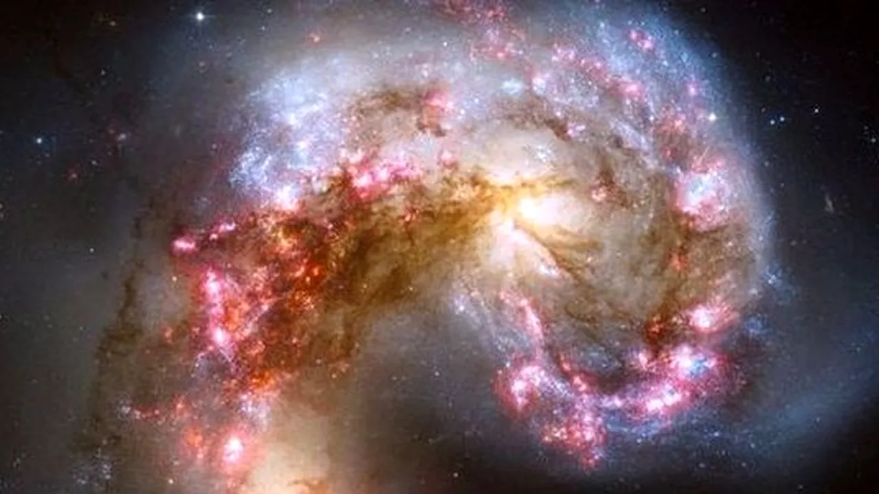 Fenomenul extraordinar descoperit de o cercetătoare australiană, în timpul unui test de rutină