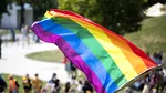 Amenzi de peste 6000 de lei la marșul Pride din Capitală. Unii participanți ar fi avut asupra lor „obiecte periculoase”