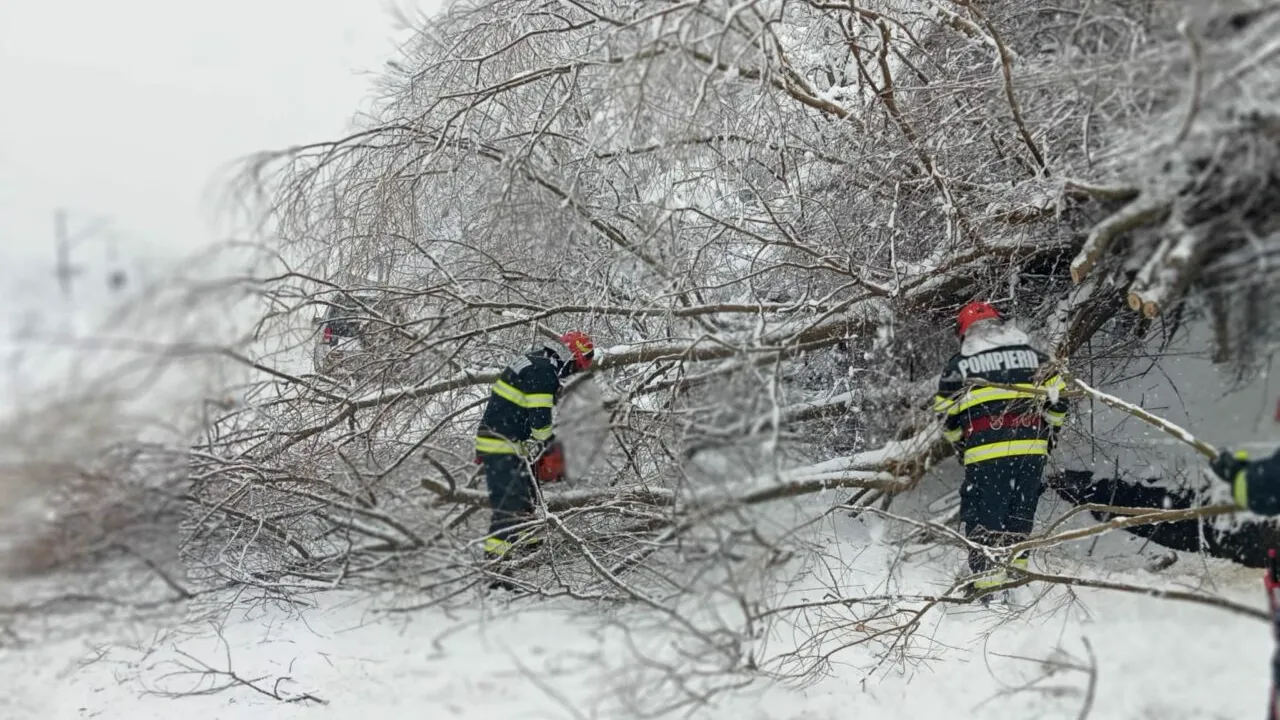 Sinaia a rămas fără curent electric, din cauza unui copac căzut pe o linie de înaltă tensiune. A fost afectat inclusiv spitalul, în care sunt internați 38 de pacienți