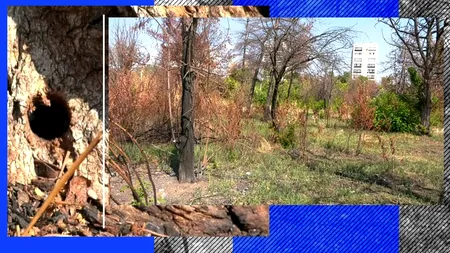 Liberalii din Sectorul 3 au început o acțiune de monitorizare a celor 11 hectare de teren retrocedate din Parcul IOR