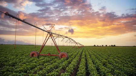 Experiența unui FERMIER care caută să angajeze oameni pentru irigații. „Există forță de muncă, dar oamenii vin doar dacă-i plătești bine”