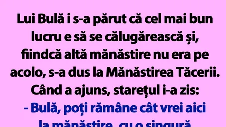 BANC | Bulă se călugărește la Mănăstirea Tăcerii
