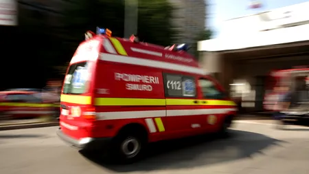 A pus pariu cu prietenii lui că nu îi e frică să se apropie de animale și a băgat mâna în cușca leilor. Ceea ce a urmat era previzibil