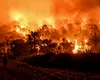 Stare de urgență pe una dintre insulele grecești preferate de mii de români. INCENDIILE au scăpat de sub control