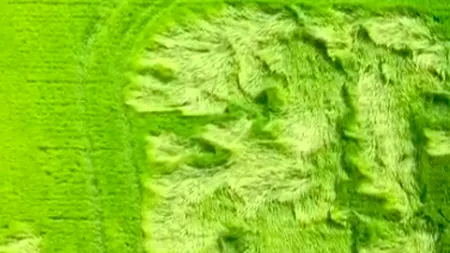 Rafalele puternice de vânt au făcut ravagii în județul Buzău: Imagini cu lanurile din Bărăgan, grav afectate - VIDEO 