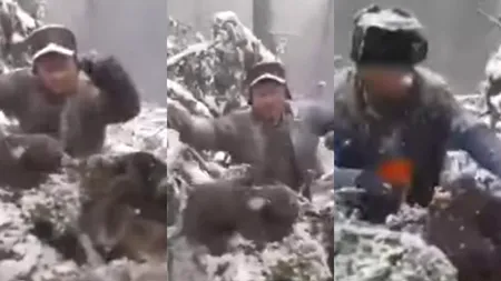 Revoltător! Patru ursuleți sunt scoși brutal din bârlog și aruncați în zăpadă. Cine sunt făptașii (FOTO & VIDEO)