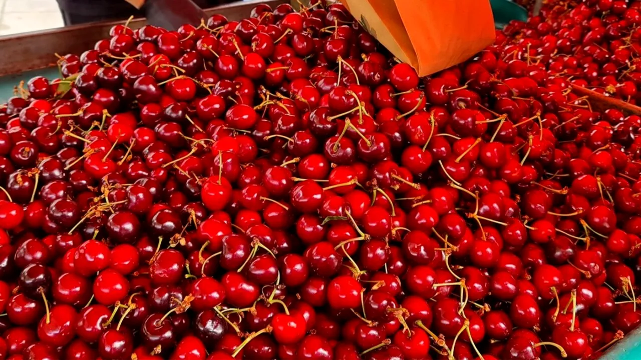 POVESTEA de succes a lui Adrian, fermierul care a pariat pe o afacere cu cireşe şi acum speră la un profit generos