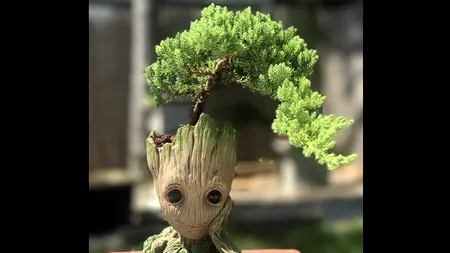 Locul unde nimic nu se ascunde, numai durerea